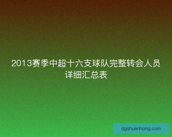 2013赛季中超十六支球队完整转会人员详细汇总表